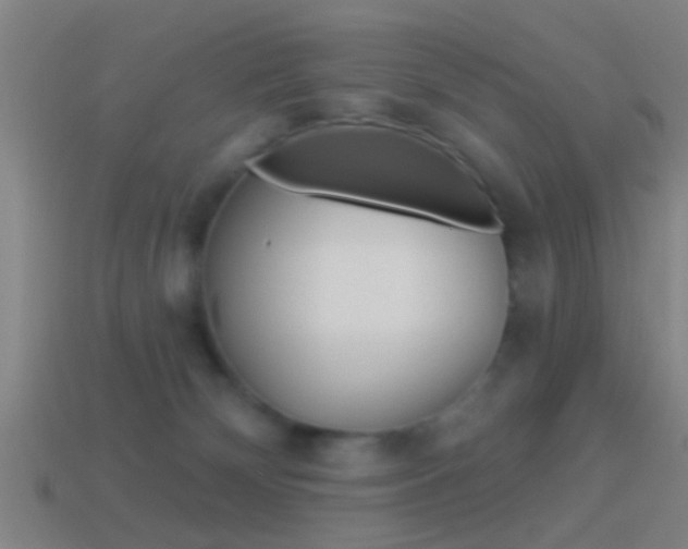 X0000114510132200910190936
