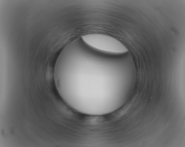 X0000114510135200910190936