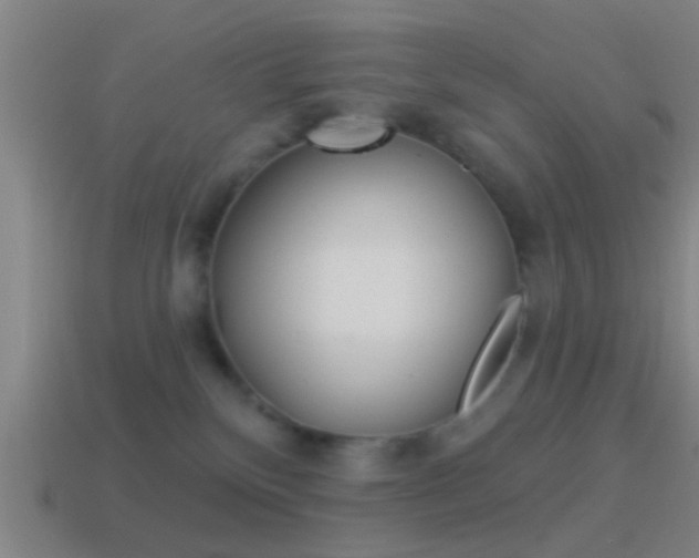 X0000114510136200910190936