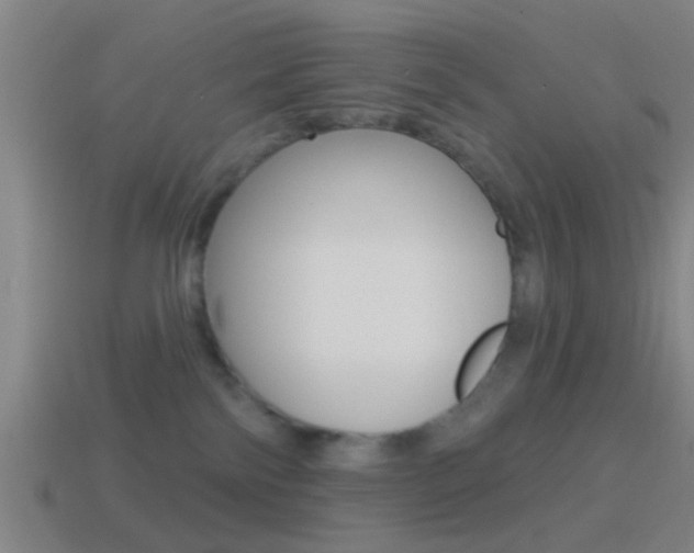 X0000114510138200910190936