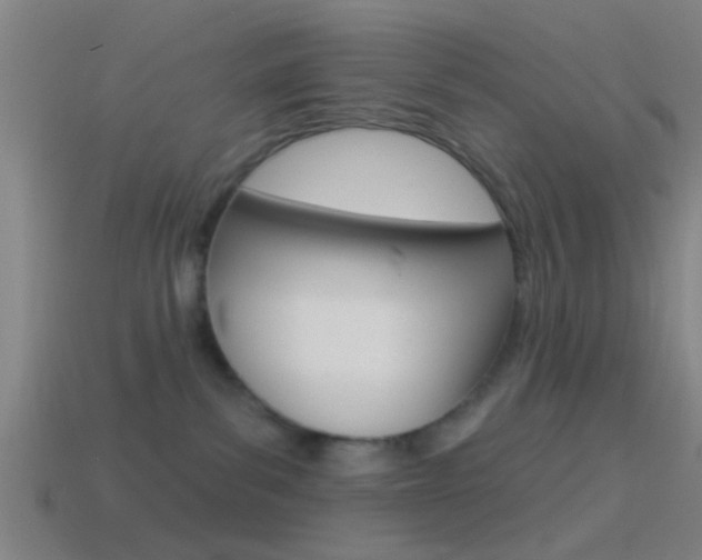 X0000114510139200910190936
