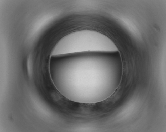 X0000114510140200910190936