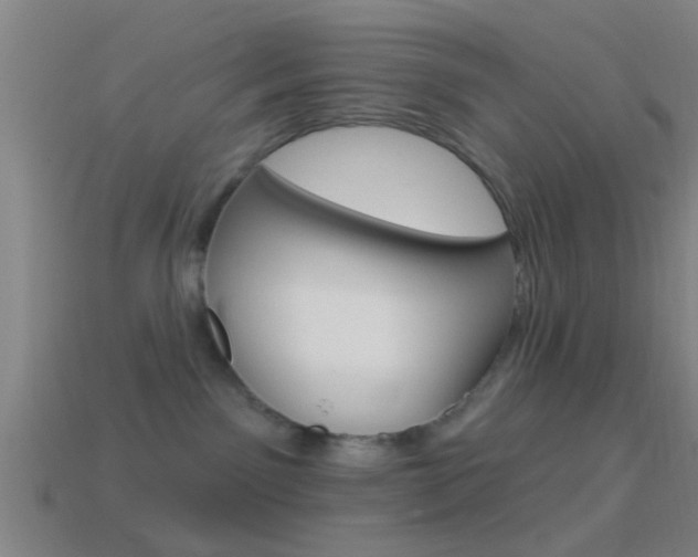 X0000114510141200910190936