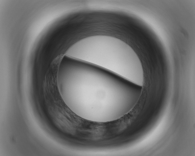 X0000114510143200910190936