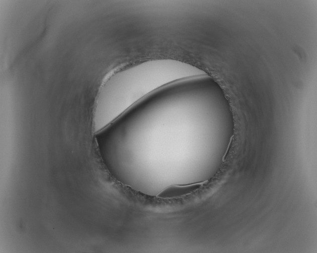 X0000114510144200910190936