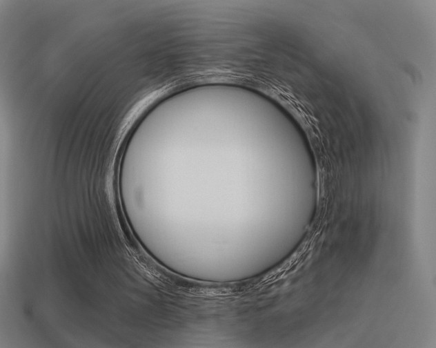 X0000114510147200910190936