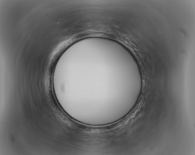 X0000114510149200910190936