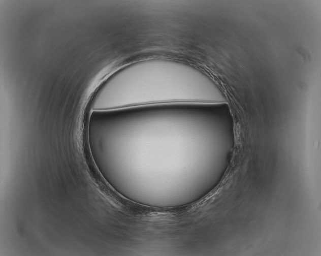 X0000114510150200910190936