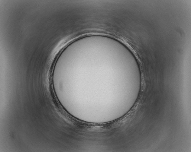 X0000114510151200910190936