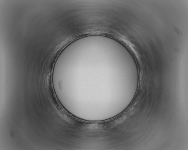 X0000114510153200910190936