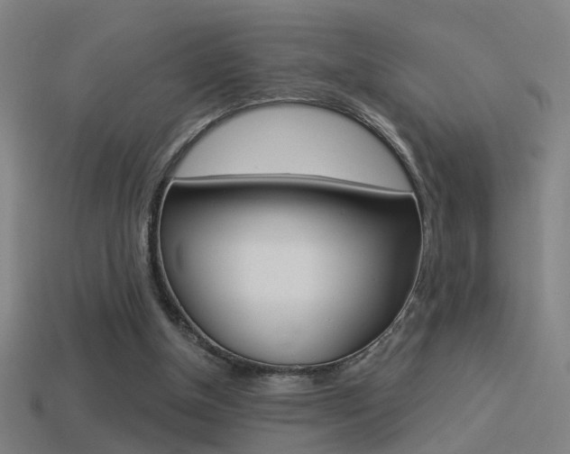 X0000114510154200910190936