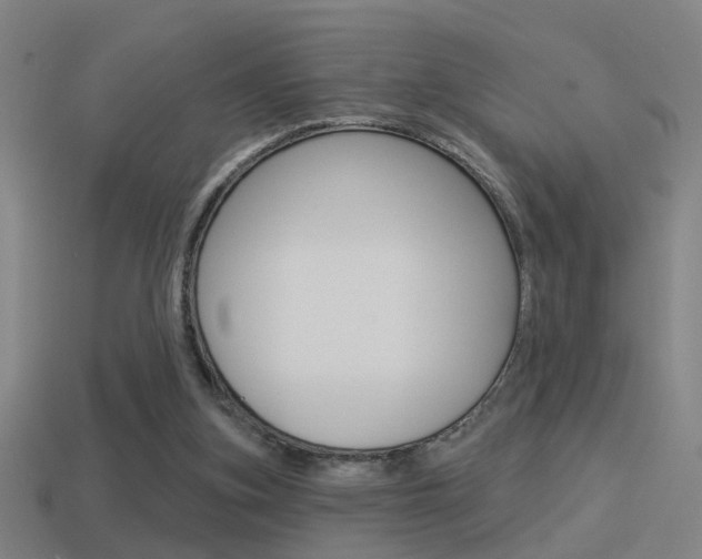 X0000114510155200910190936