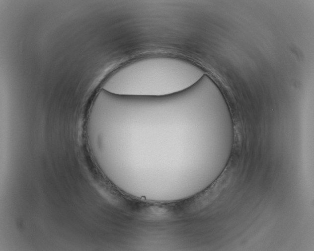 X0000114510159200910190936