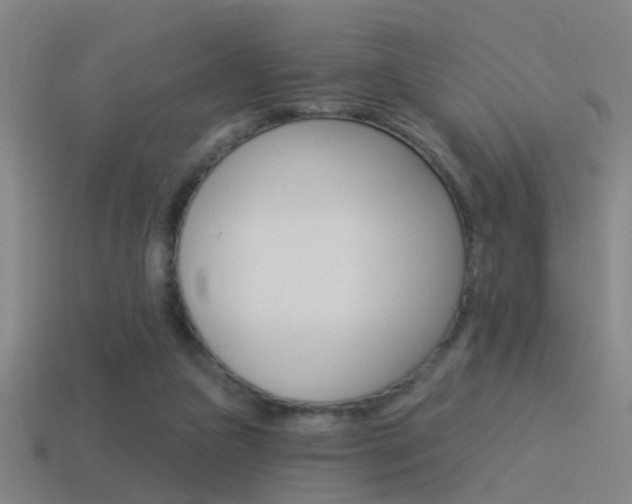 X0000114510161200910190936