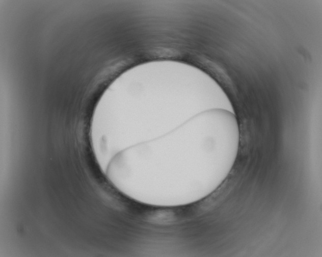 X0000114510162200910190936