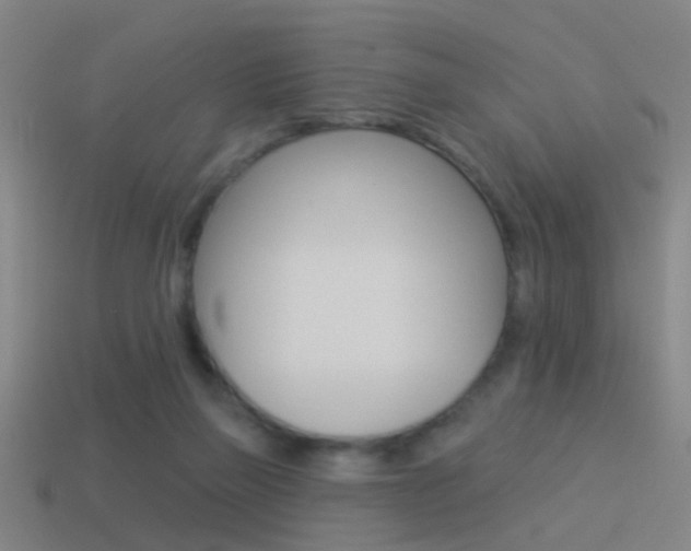 X0000114510165200910190936