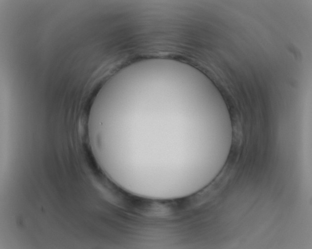 X0000114510166200910190936