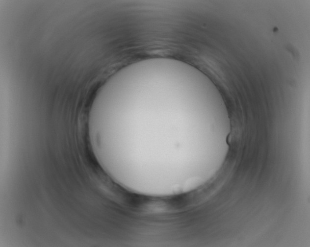 X0000114510171200910190936