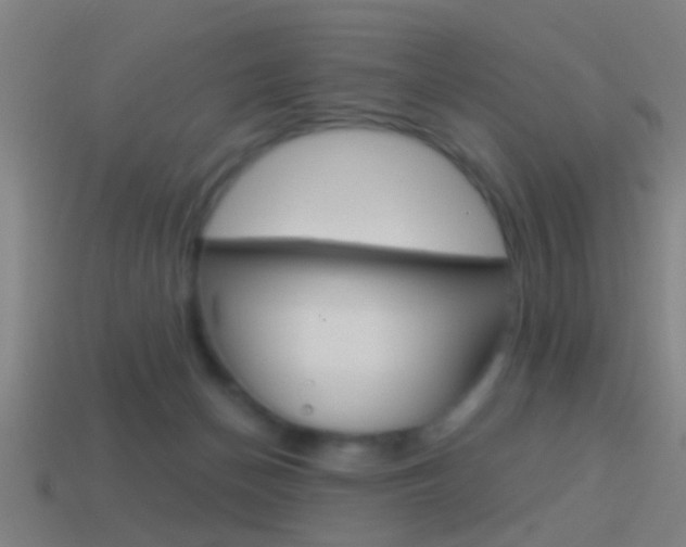X0000114510174200910190936