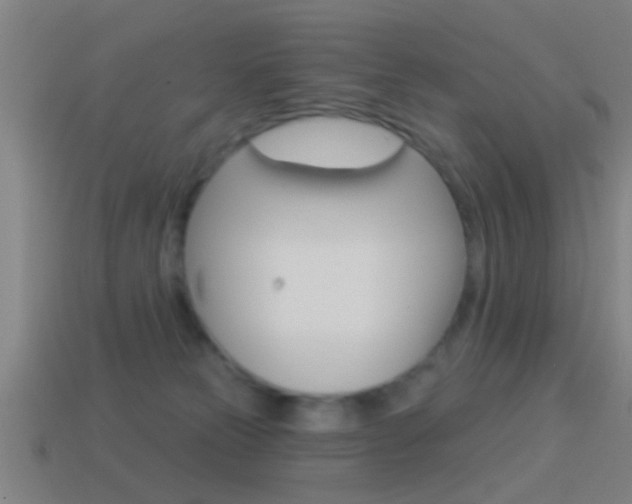 X0000114510181200910190936