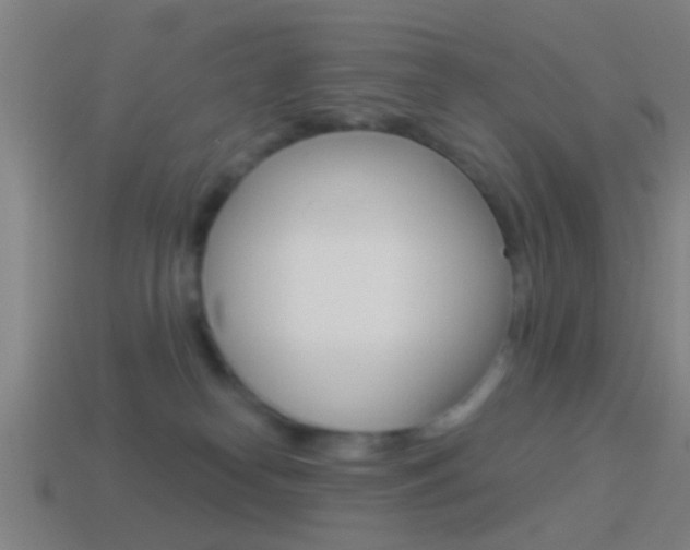 X0000114510182200910190936