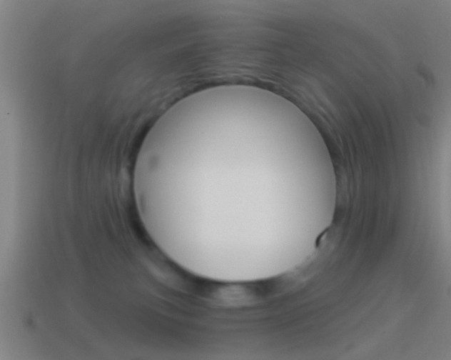 X0000114510183200910190936