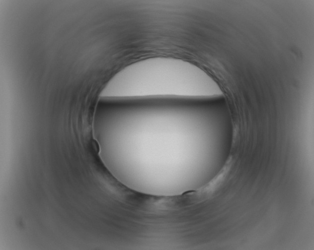 X0000114510186200910190936