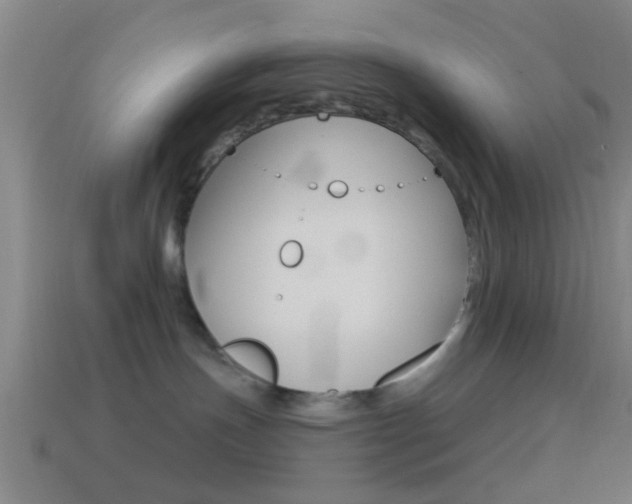 X0000114510191200910190936