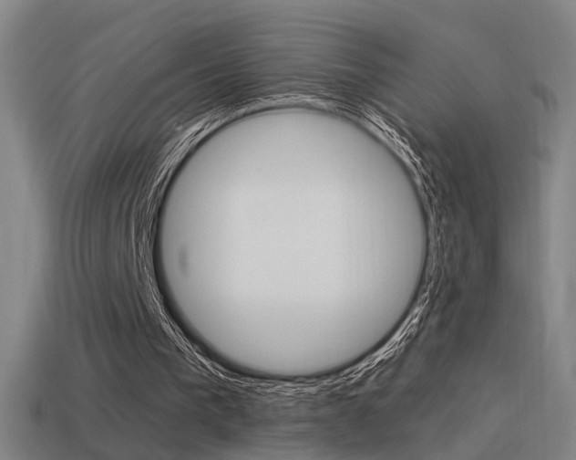 X0000114510193200910190936