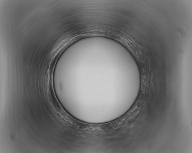 X0000114510194200910190936
