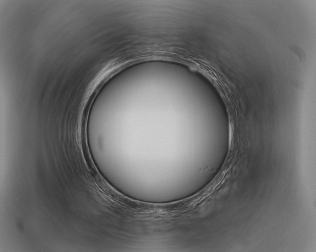 X0000114510195200910190936