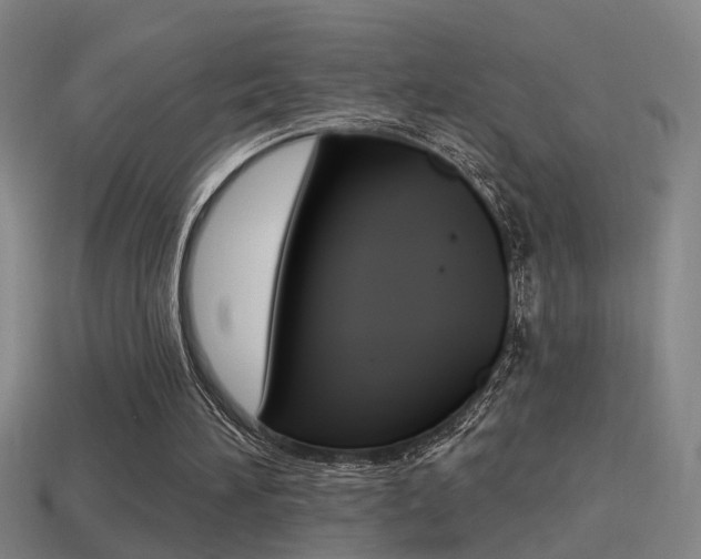 X0000114510196200910190936