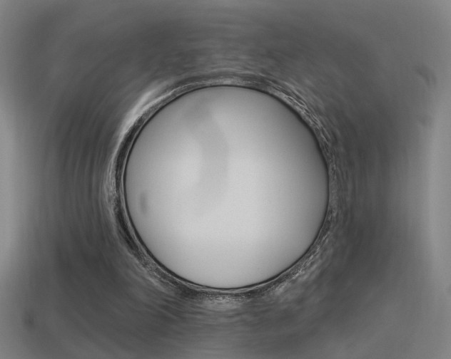 X0000114510198200910190936