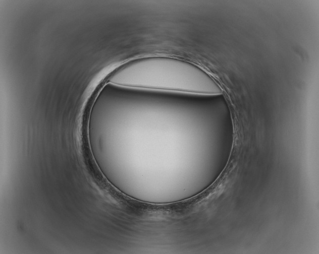 X0000114510200200910190936