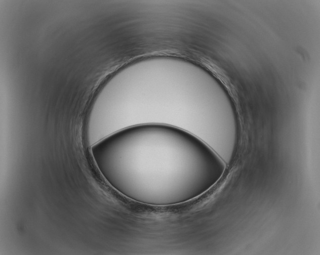 X0000114510201200910190936