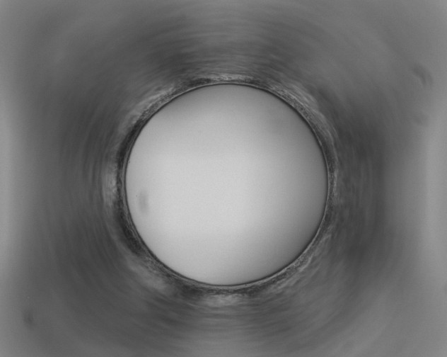 X0000114510202200910190936