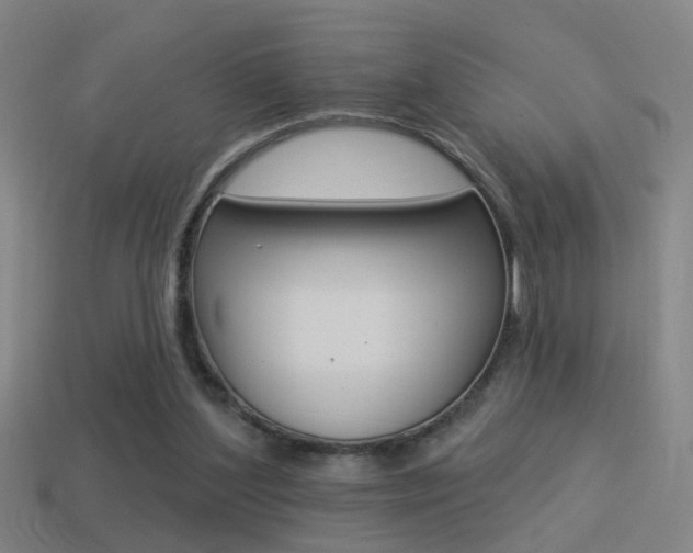 X0000114510204200910190936
