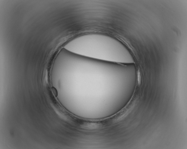 X0000114510205200910190936