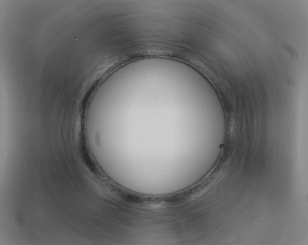 X0000114510206200910190936