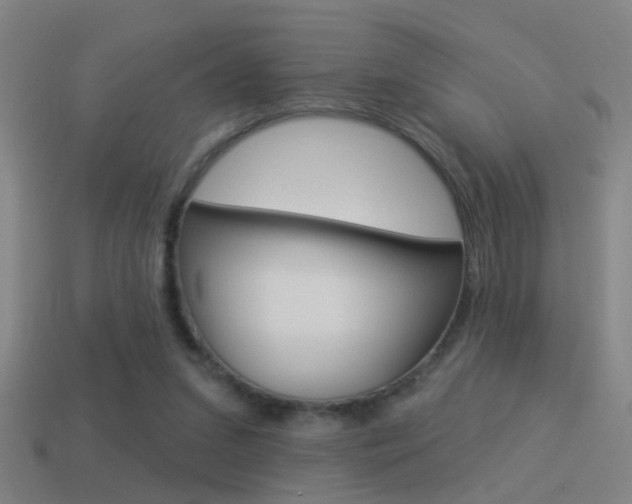 X0000114510207200910190936