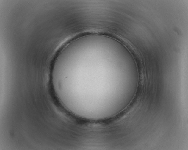 X0000114510208200910190936