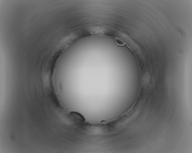 X0000114510209200910190935