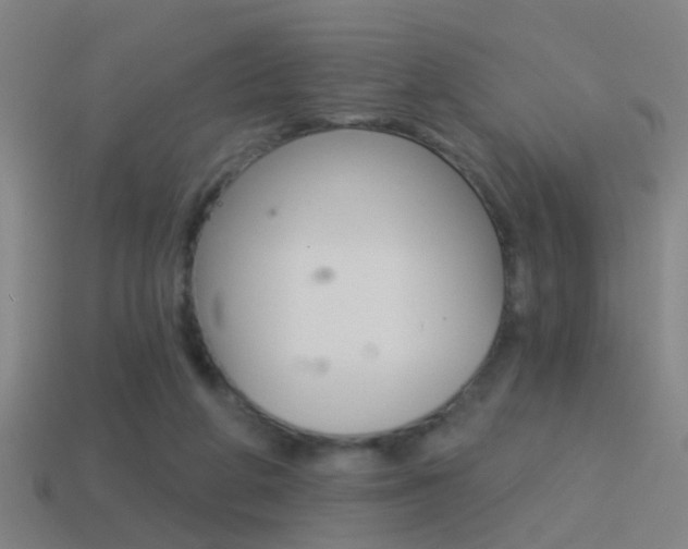 X0000114510210200910190935