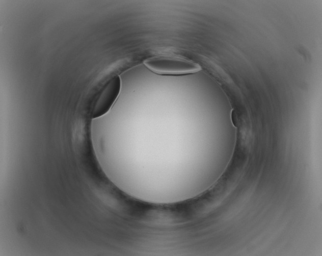 X0000114510211200910190935