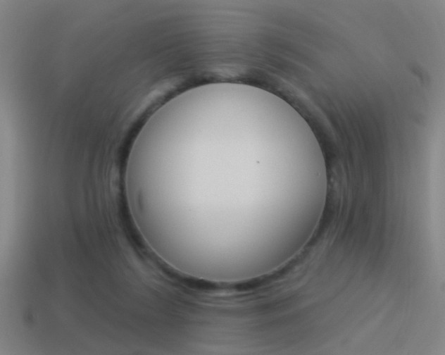 X0000114510212200910190935