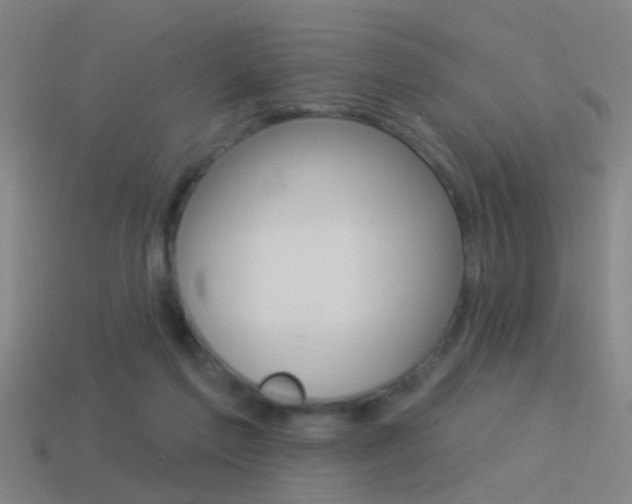 X0000114510213200910190935