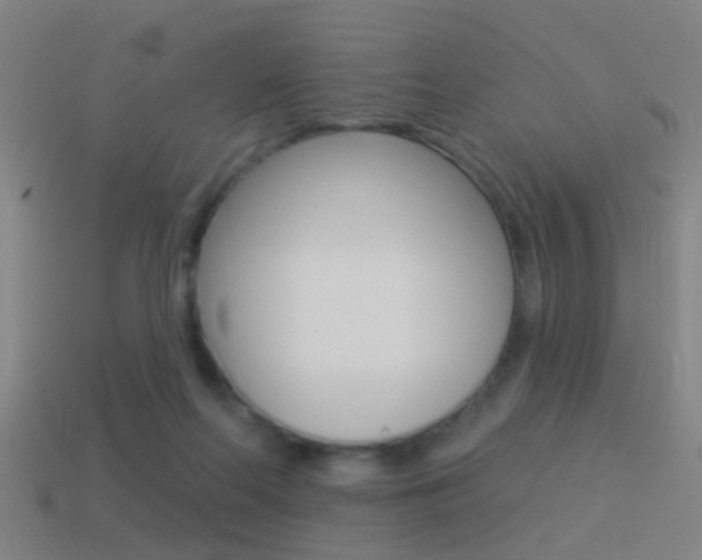 X0000114510214200910190935