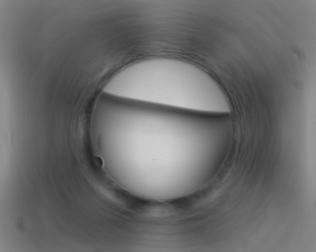 X0000114510215200910190935