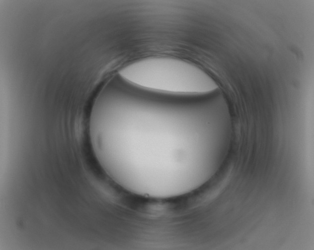 X0000114510216200910190935