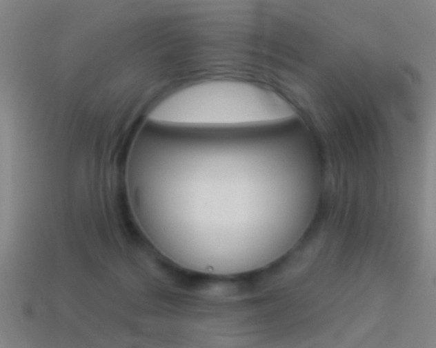 X0000114510220200910190935
